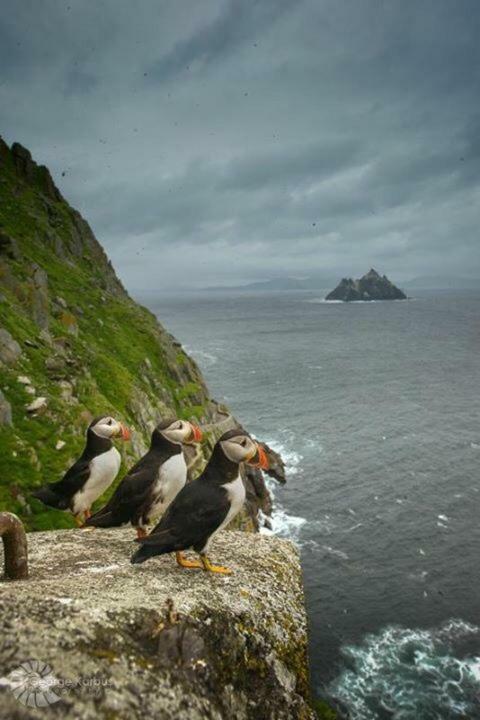 Skellig Port Accomodation - Sea View Rooms Ensuite بورماغي المظهر الخارجي الصورة