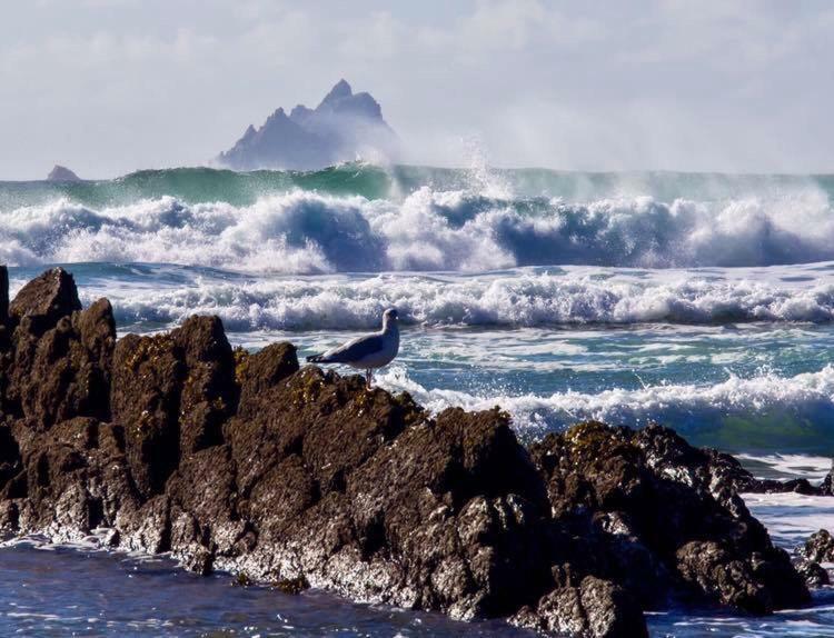 Skellig Port Accomodation - Sea View Rooms Ensuite بورماغي المظهر الخارجي الصورة